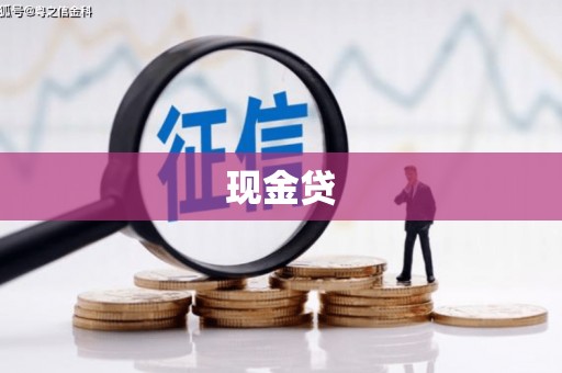 山南现金贷
