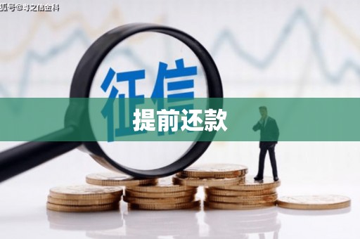 山南提前还款