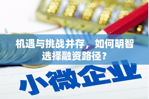 山南机遇与挑战并存，如何明智选择融资路径？
