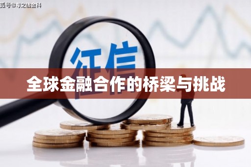 山南全球金融合作的桥梁与挑战