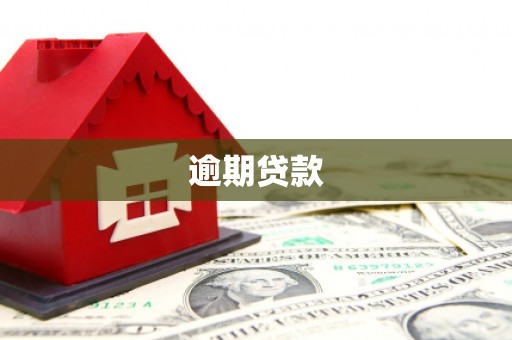 山南逾期贷款