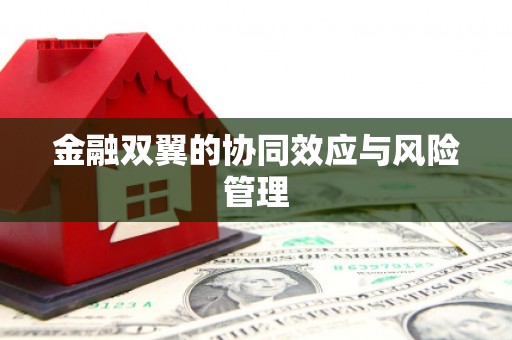 山南金融双翼的协同效应与风险管理