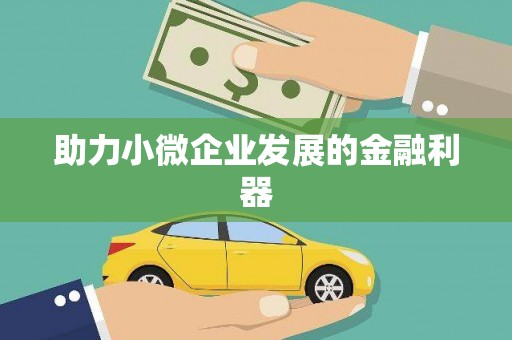 山南助力小微企业发展的金融利器