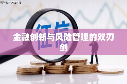 山南金融创新与风险管理的双刃剑