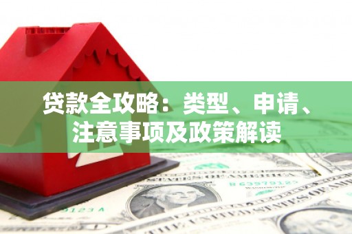山南贷款全攻略：类型、申请、注意事项及政策解读