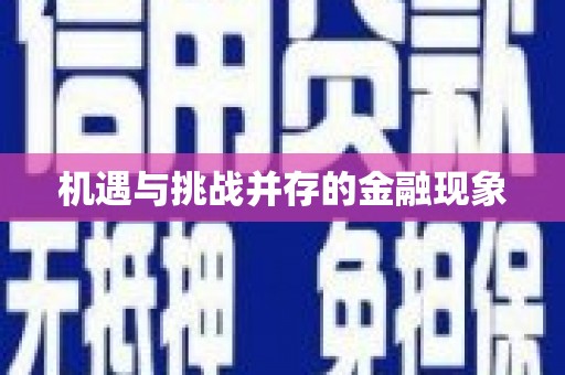 山南机遇与挑战并存的金融现象