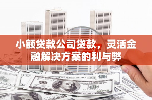 山南小额贷款公司贷款，灵活金融解决方案的利与弊