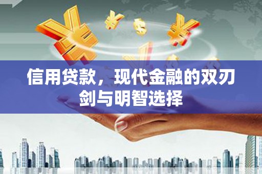 山南信用贷款，现代金融的双刃剑与明智选择