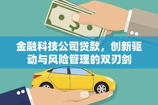 山南金融科技公司贷款，创新驱动与风险管理的双刃剑